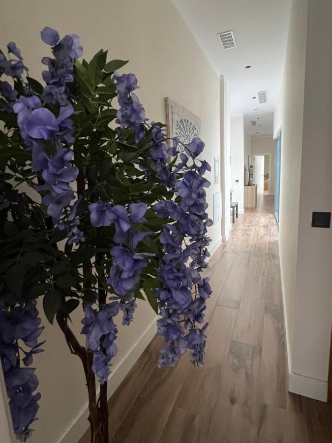 Deluxe Twobedroom Apartment Seville Downtown 外观 照片